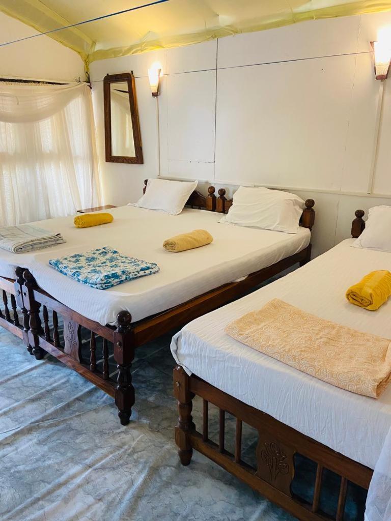 Tent Cressida Cyrus Palolem Chambre photo