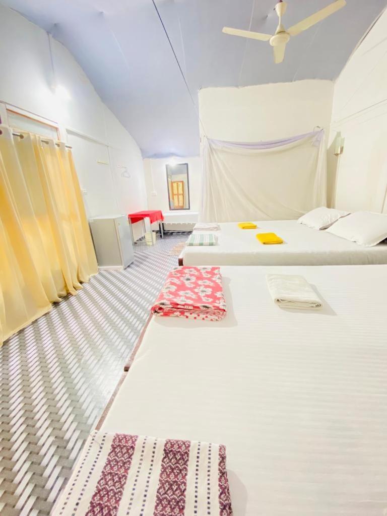 Tent Cressida Cyrus Palolem Chambre photo