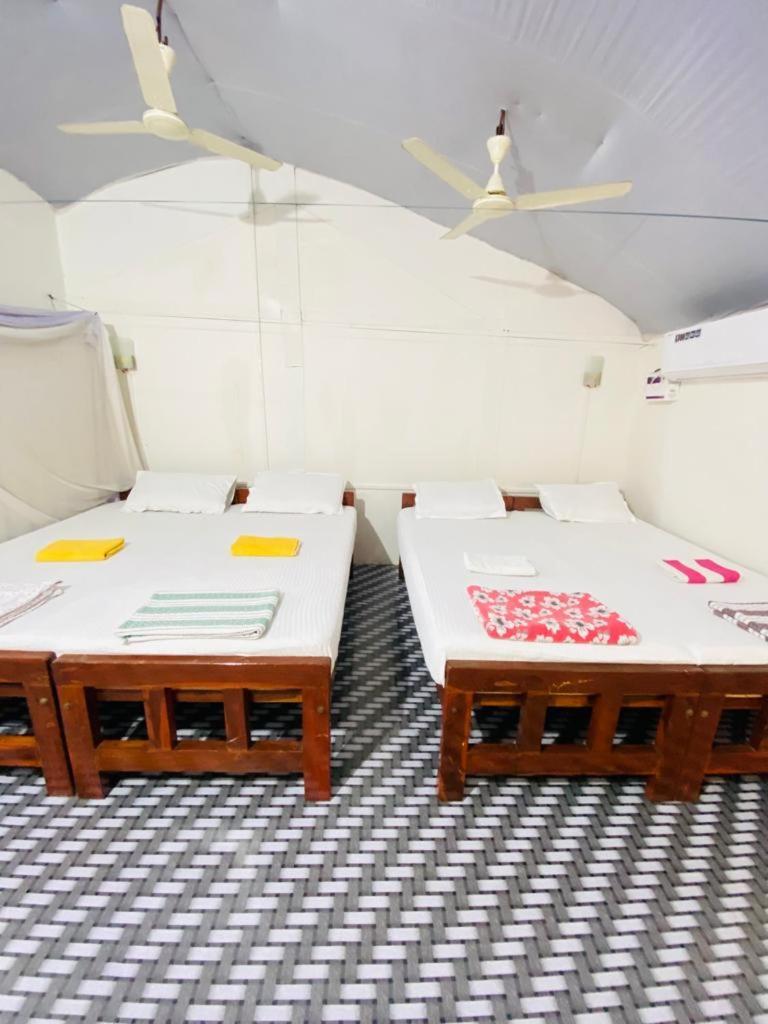 Tent Cressida Cyrus Palolem Chambre photo